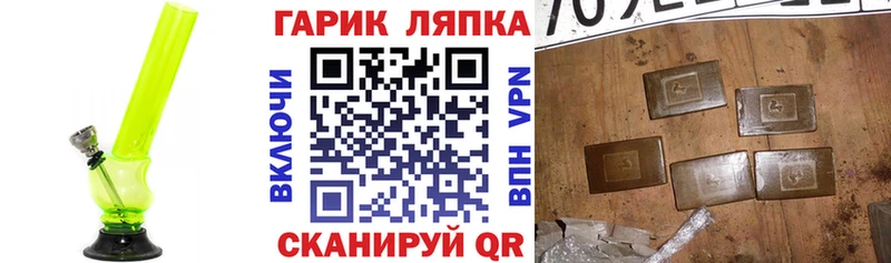 наркотики  Менделеевск  Гашиш Cannabis 