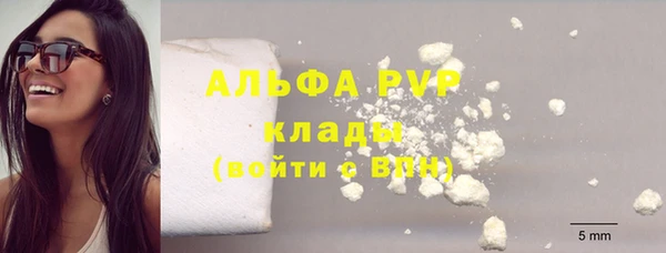 СК Алзамай