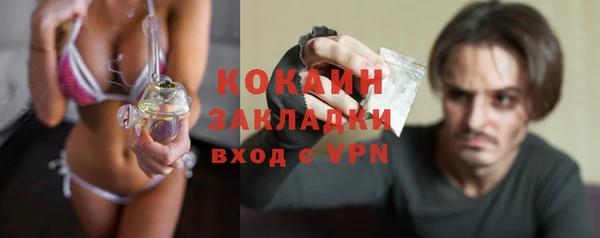 соль ск Алексин