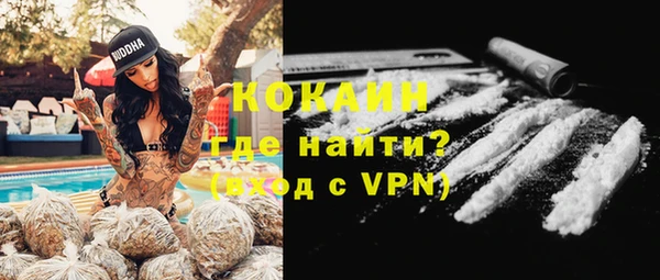 соль ск Алексин